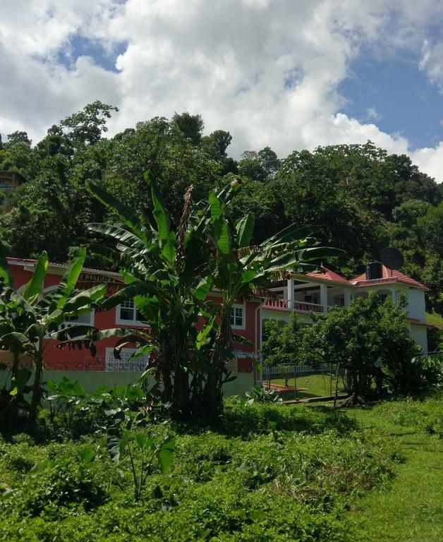 Polish Princess Guest House ปอร์ตอันโตนิโอ ภายนอก รูปภาพ